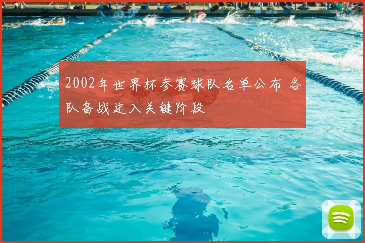 2002年世界杯参赛球队名单公布 各队备战进入关键阶段