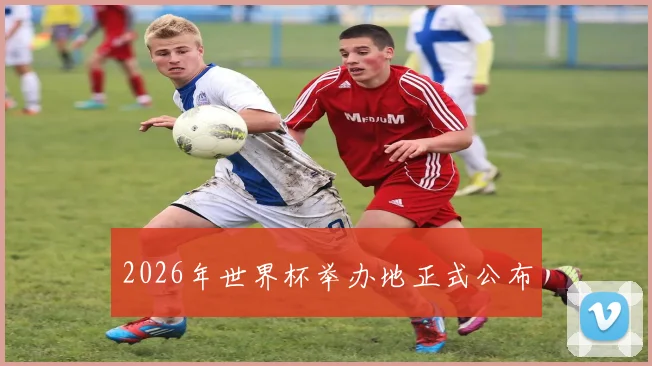 2026年世界杯举办地正式公布